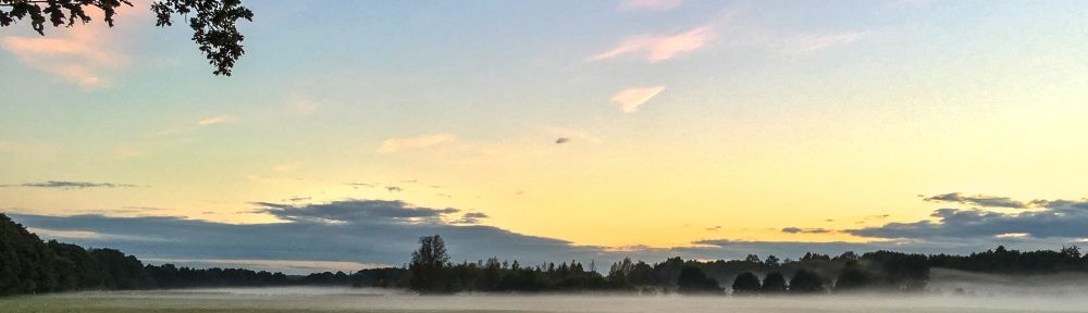 Nebel über den Seevewiesen